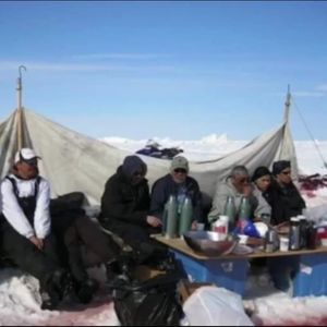 Meet your Posher, Arielle